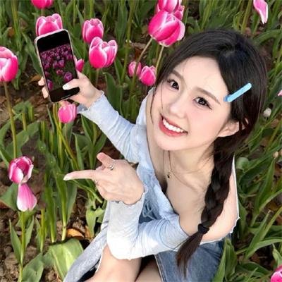 傲娇与偏见